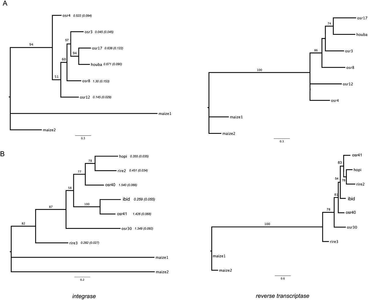 243fig4