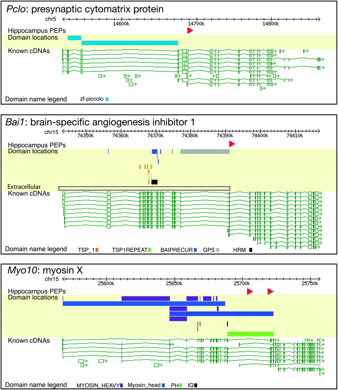 255fig4