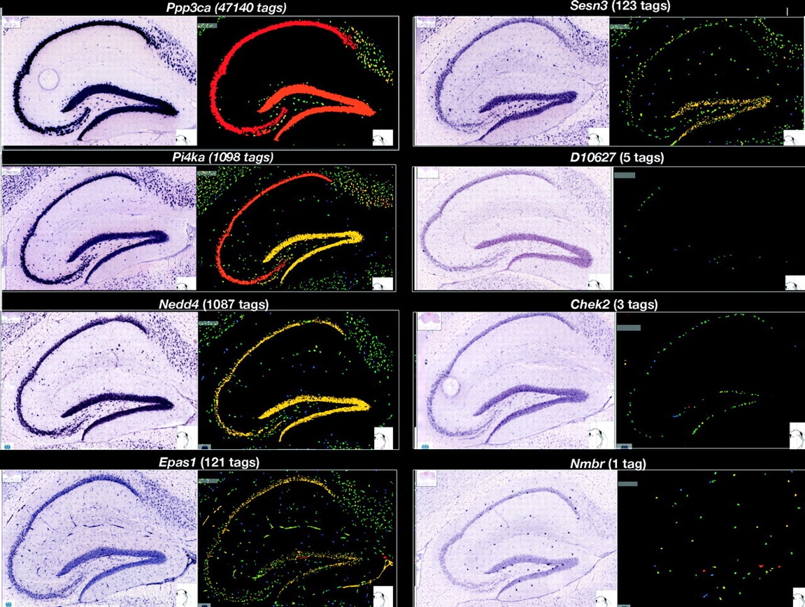 255fig6