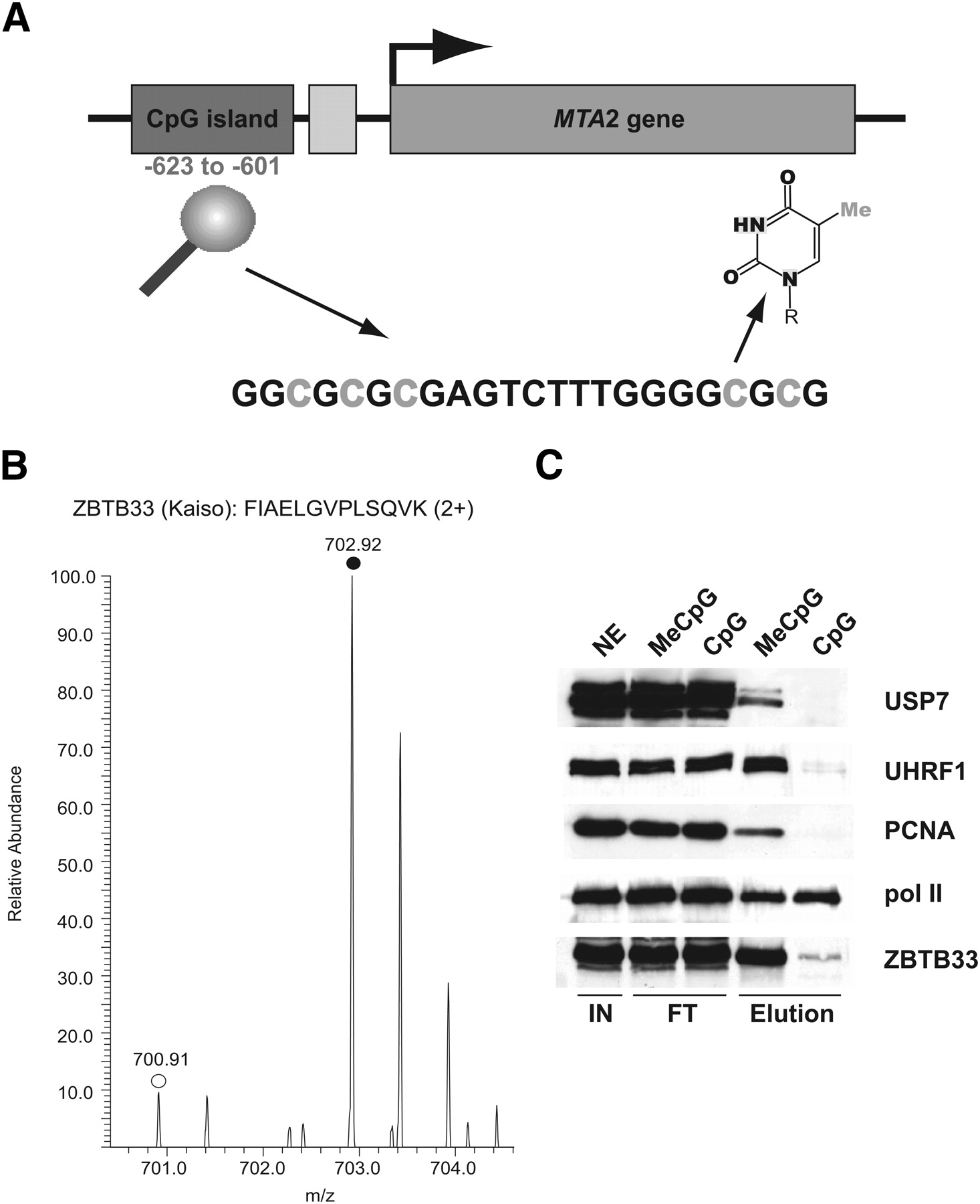 284fig4