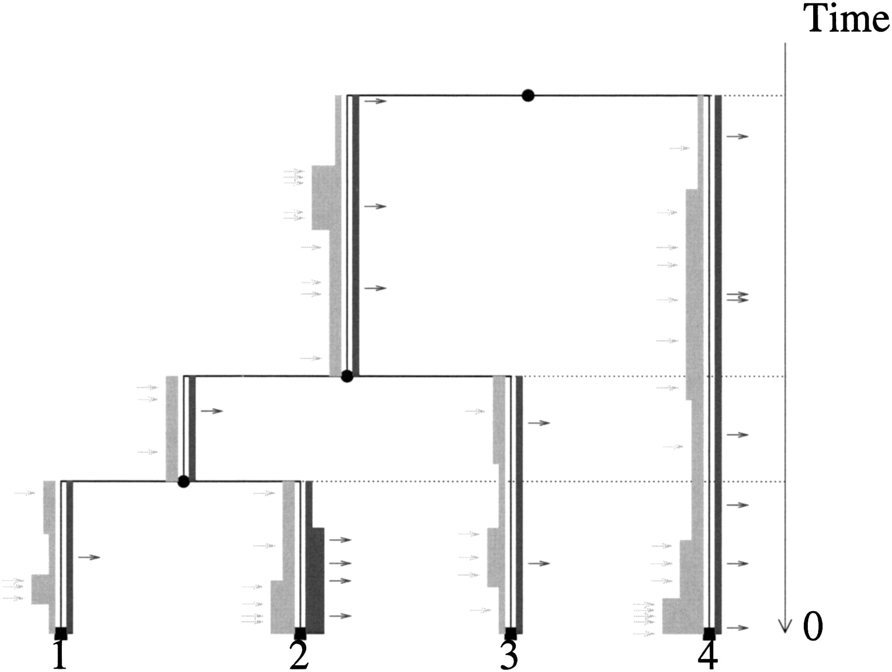 306fig1