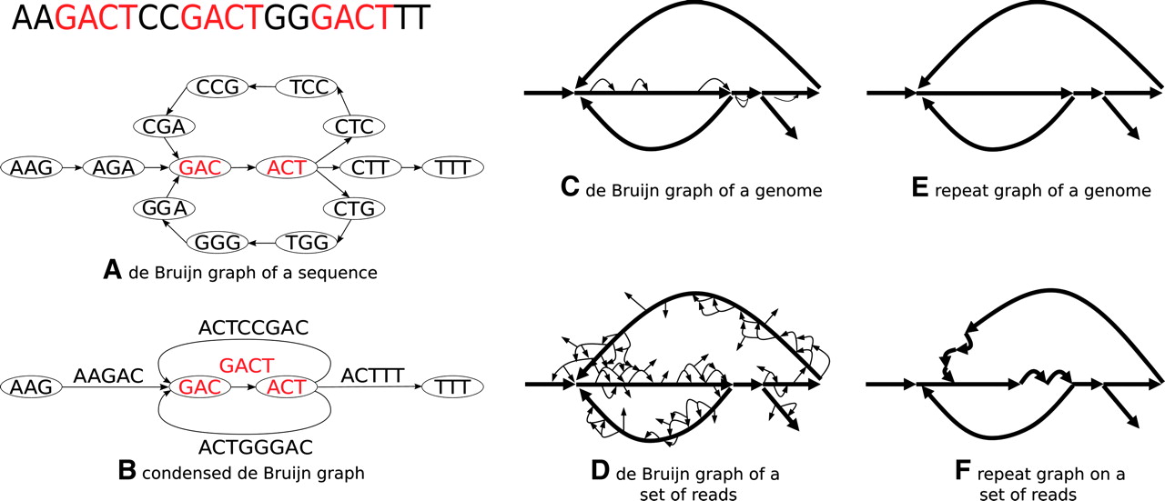 336fig2