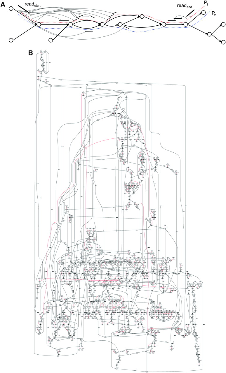 336fig4