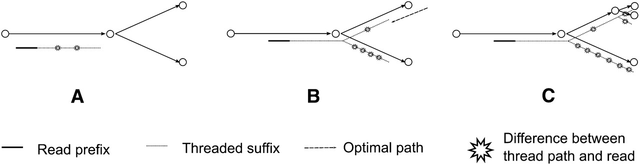 336fig5
