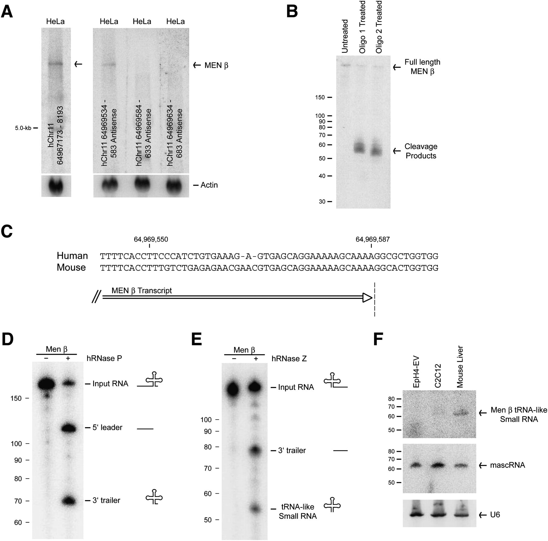 347fig3