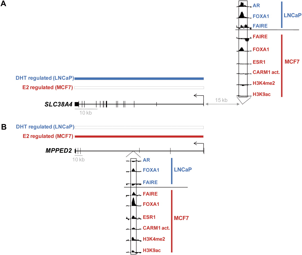 372fig6