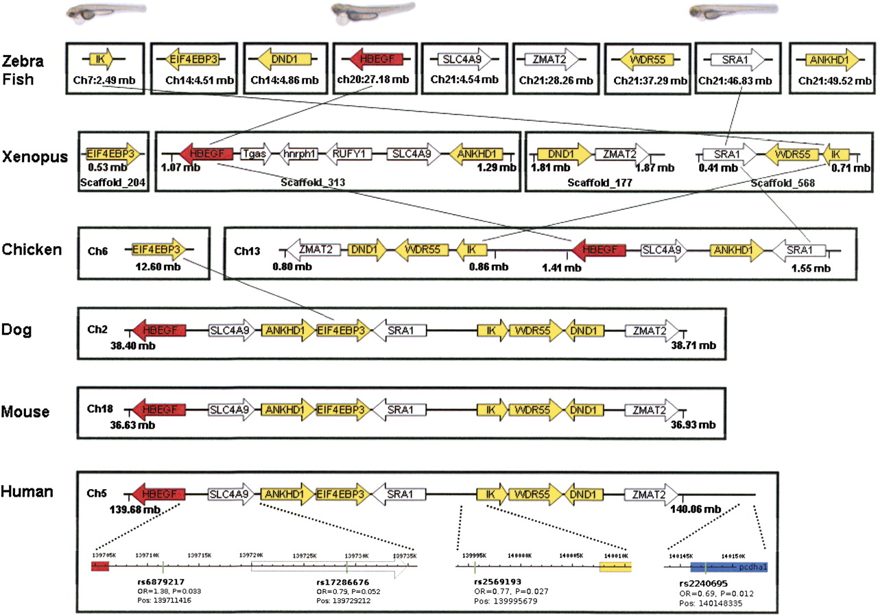 395fig4