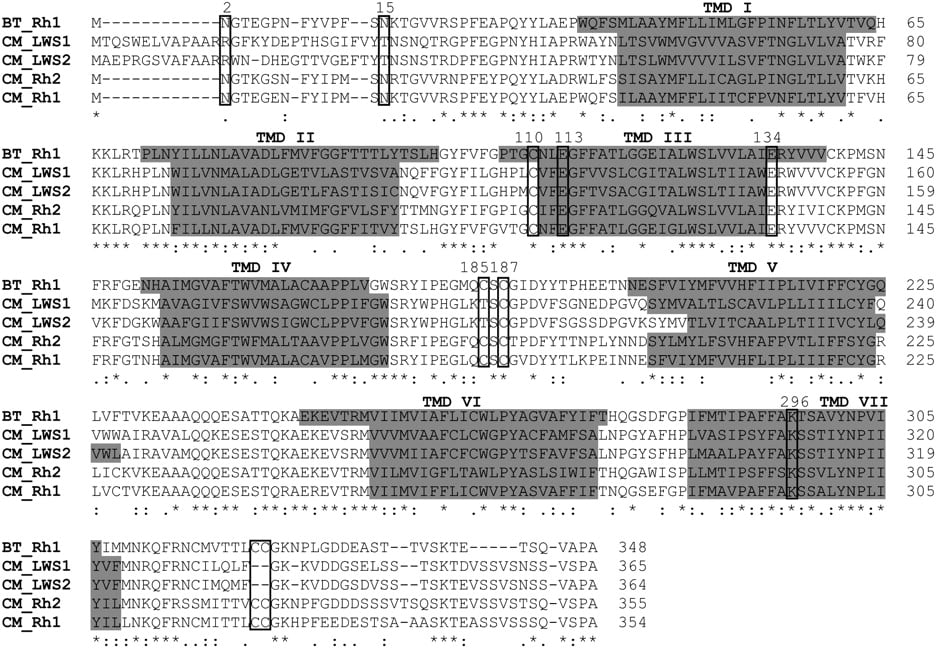 415fig3