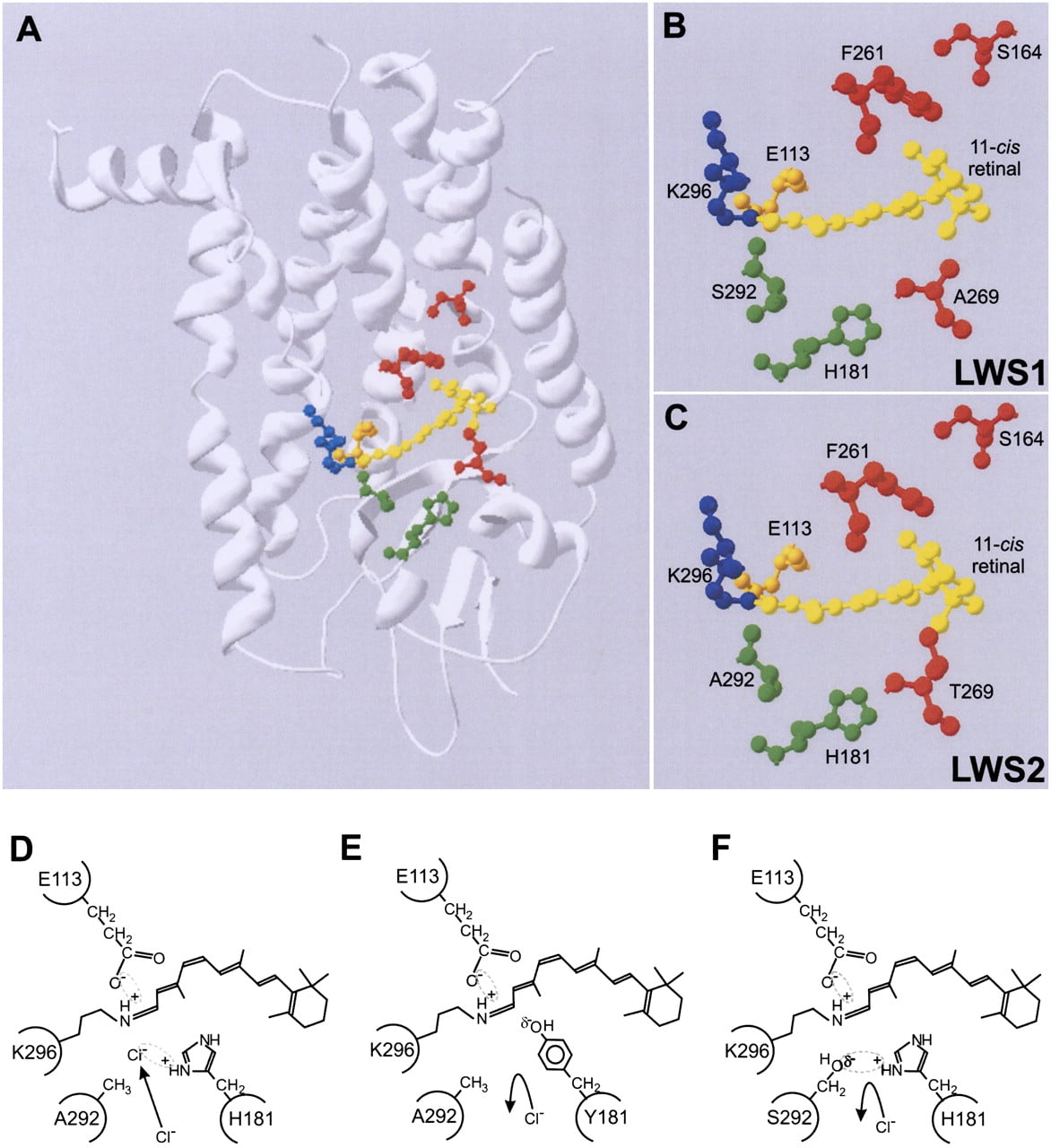 415fig5