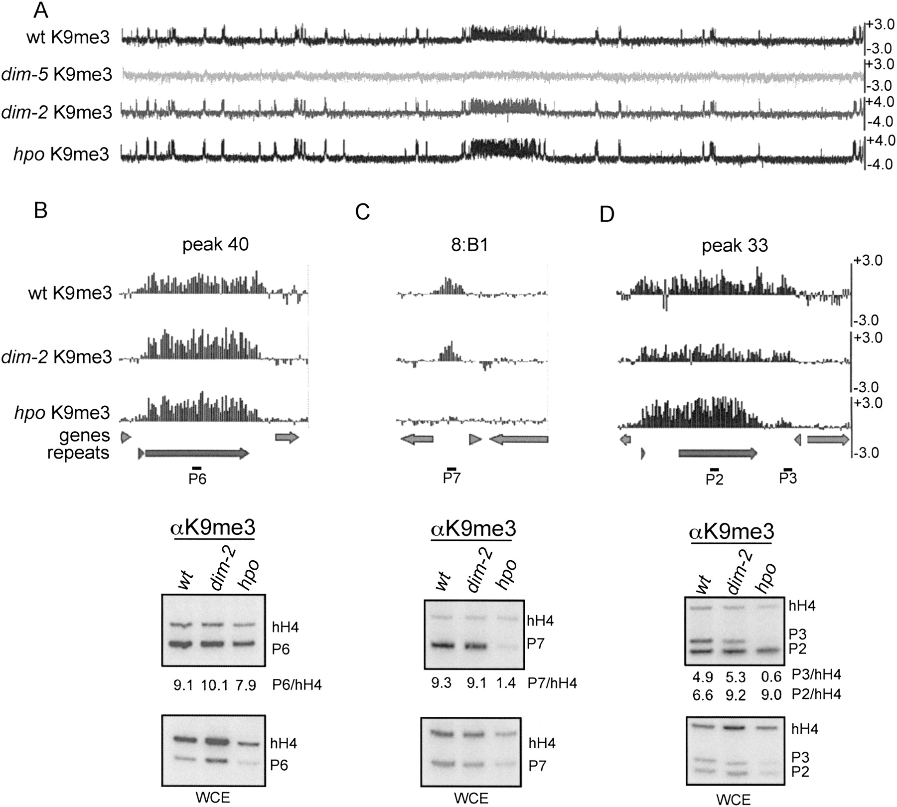 427fig6