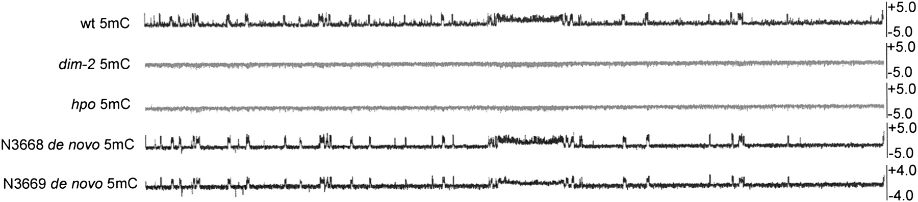 427fig7
