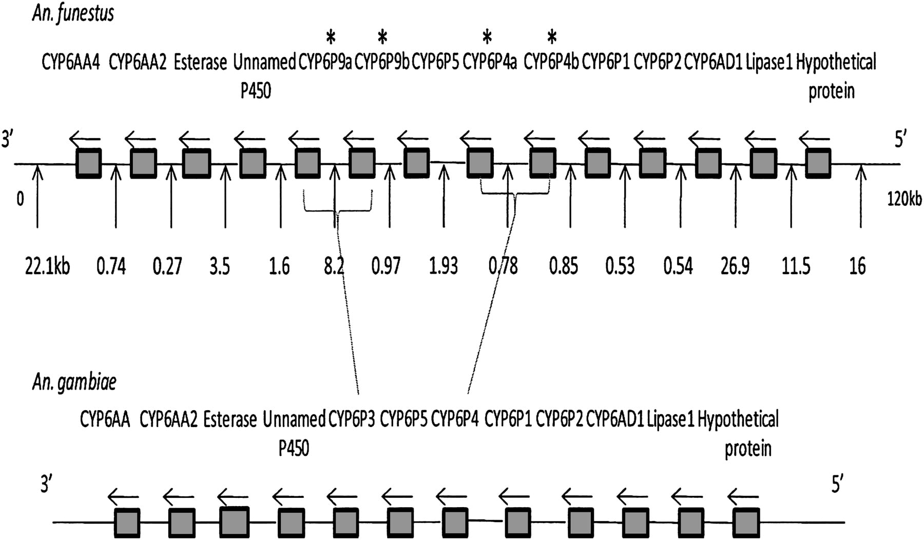 452fig2