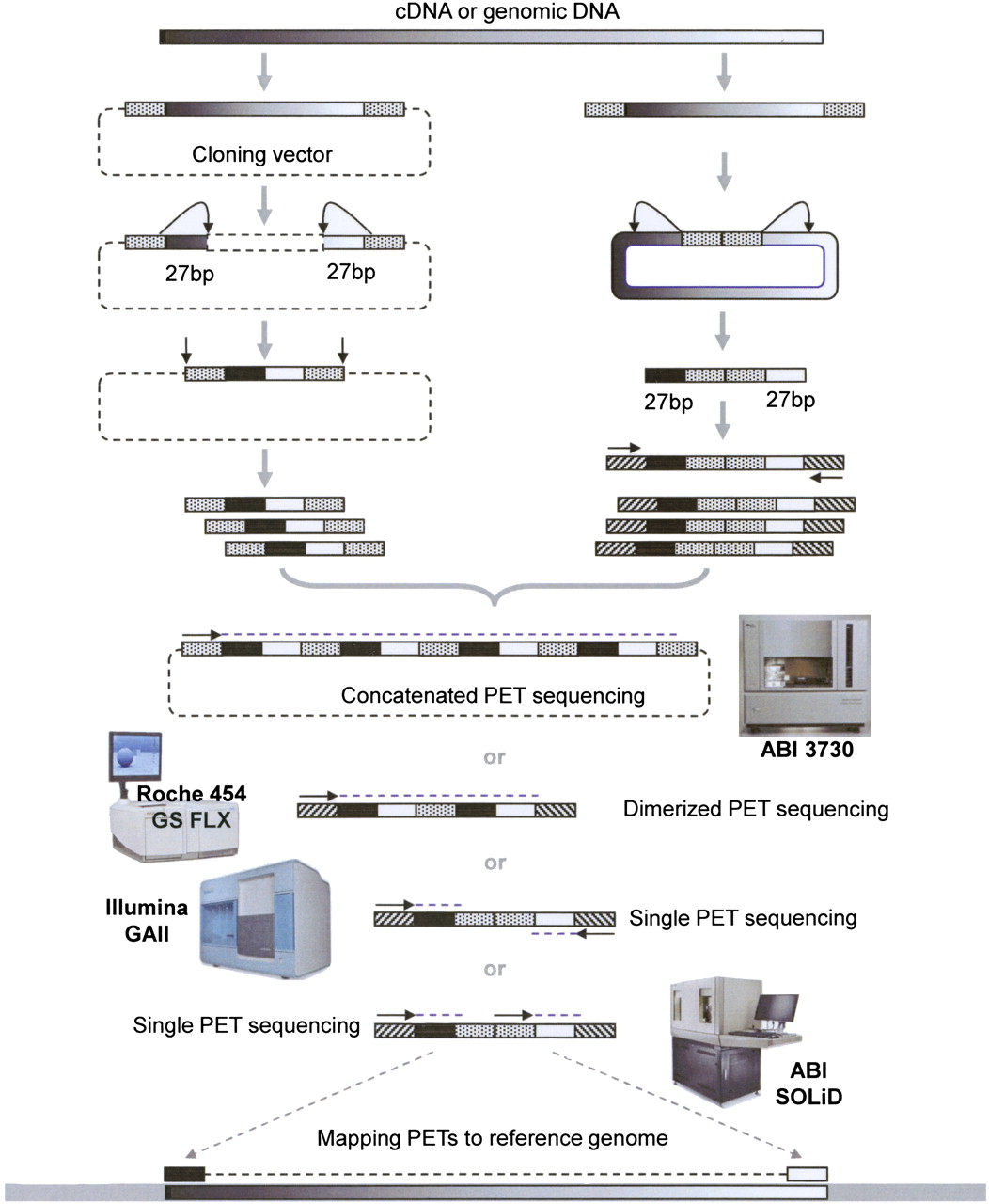 521fig1