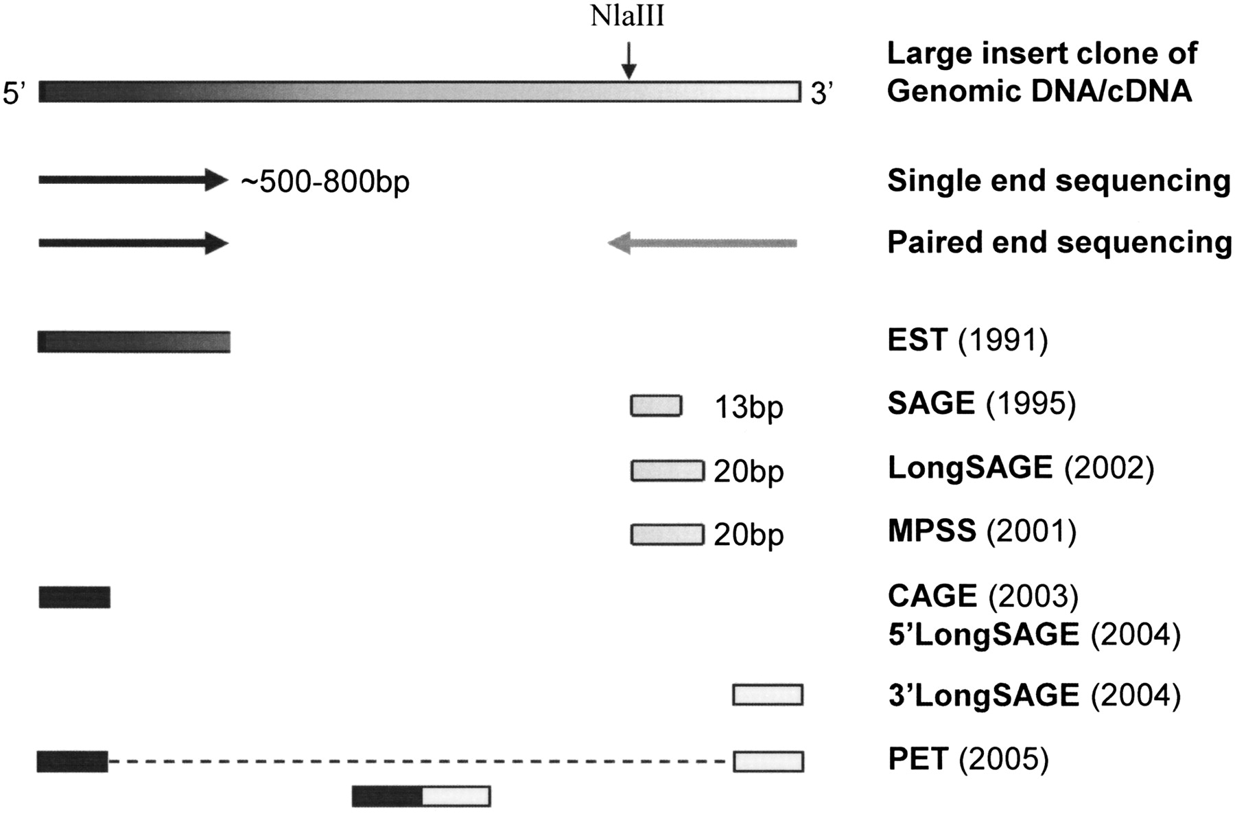 521fig2