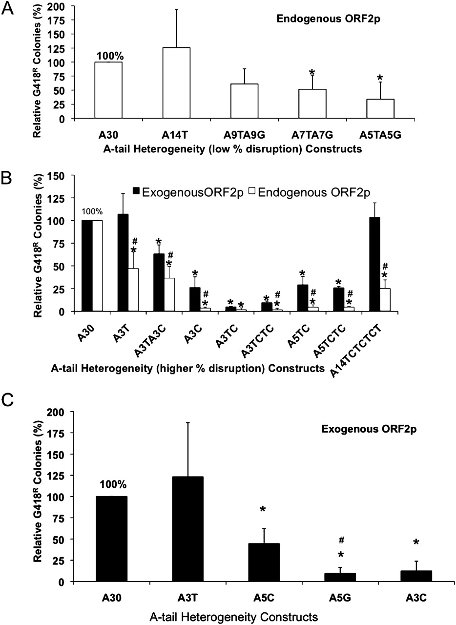 545fig4
