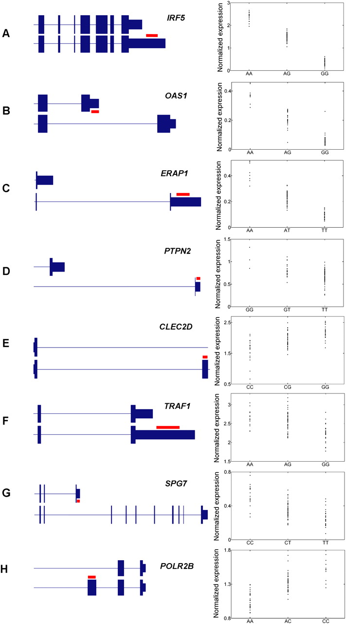567fig2