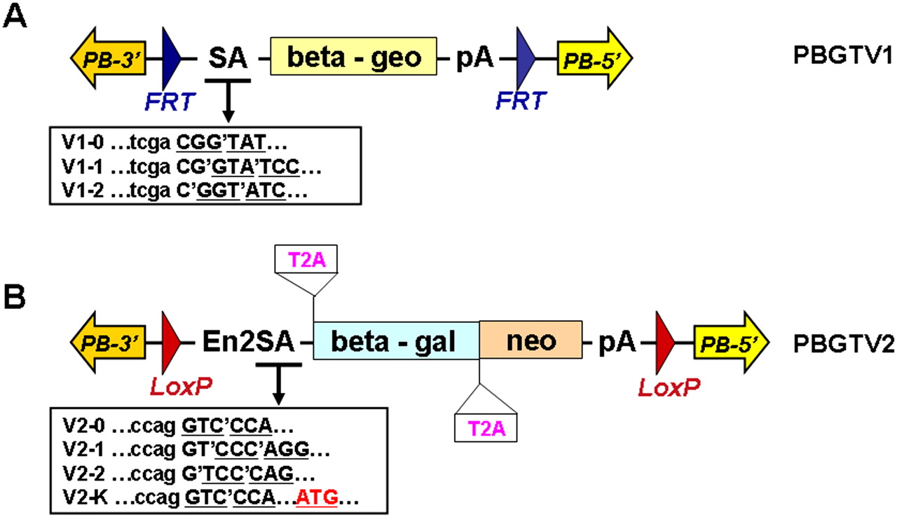 667fig1