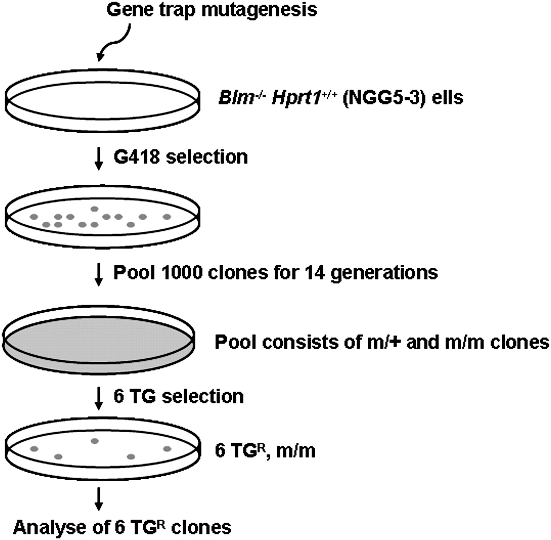 667fig3