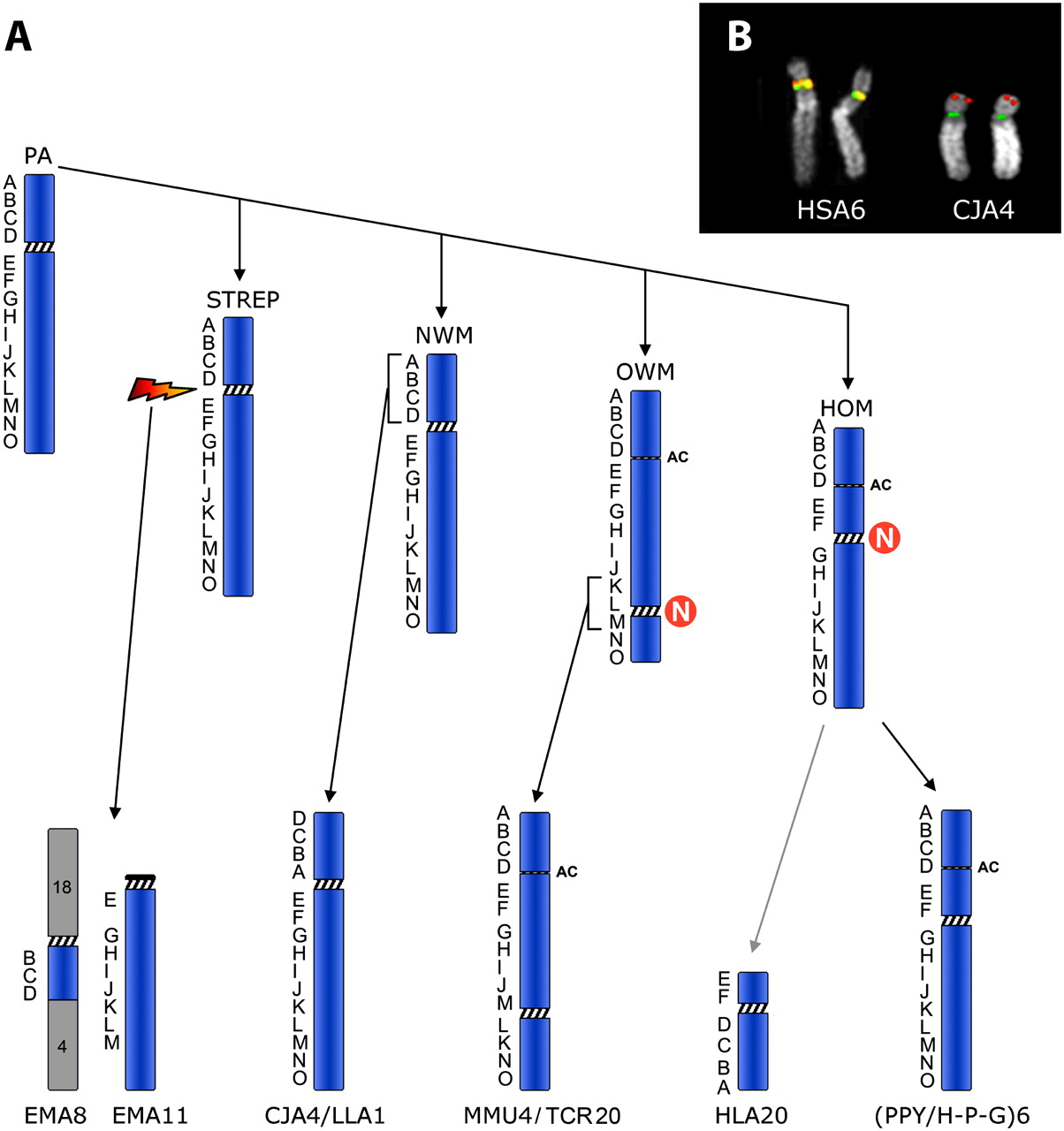 778fig4