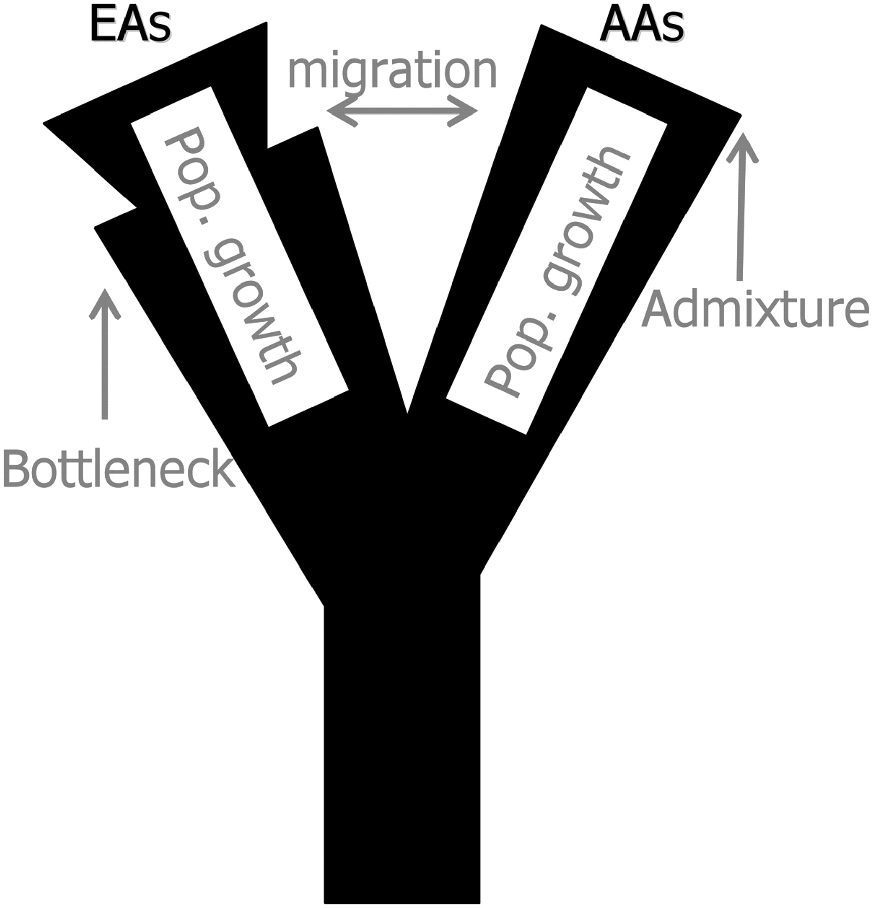 838fig1