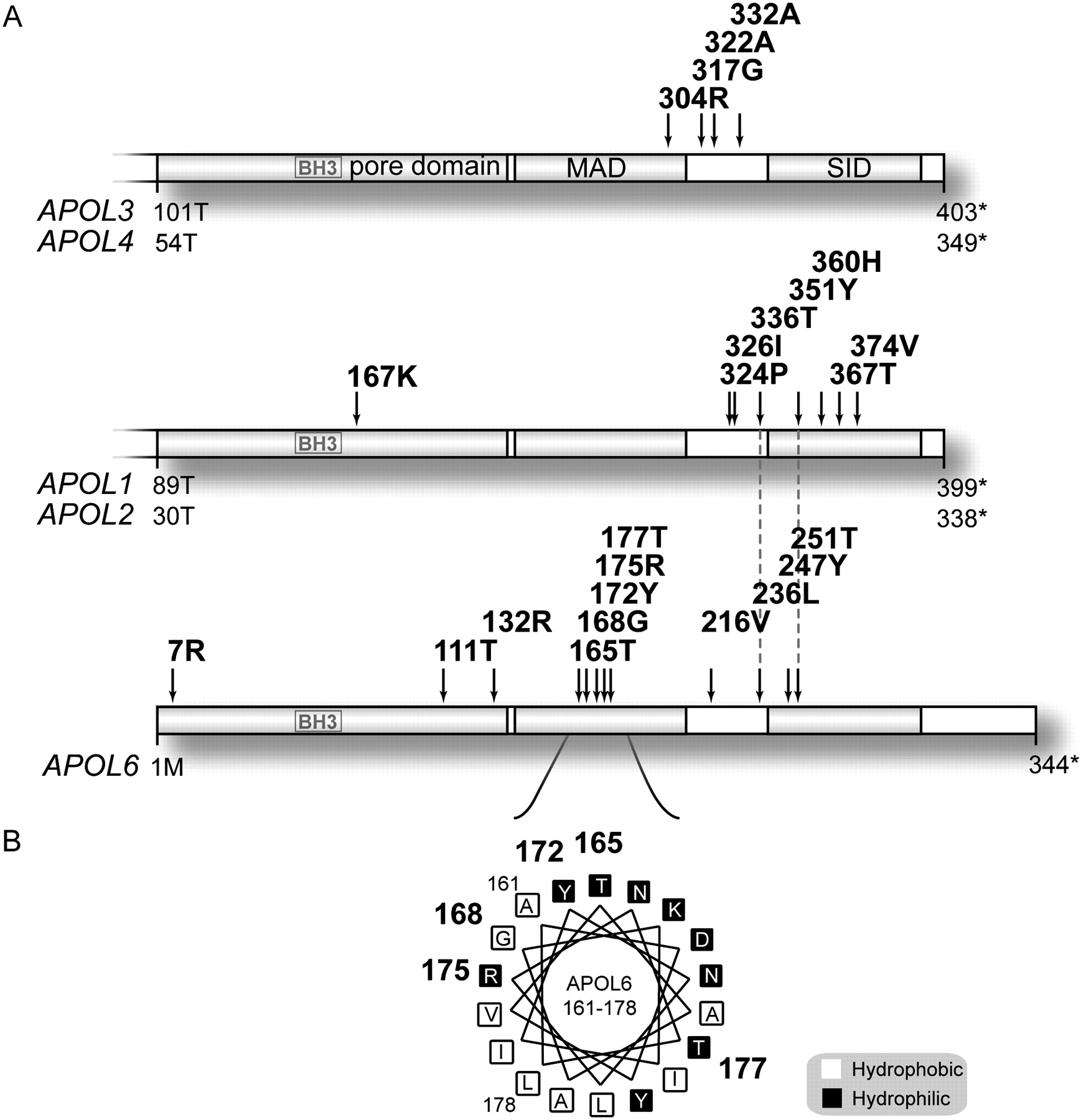 850fig4