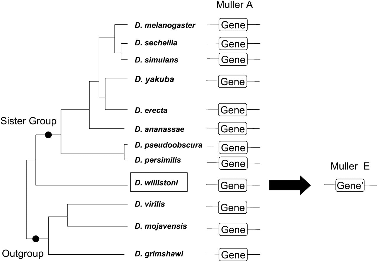 897fig1