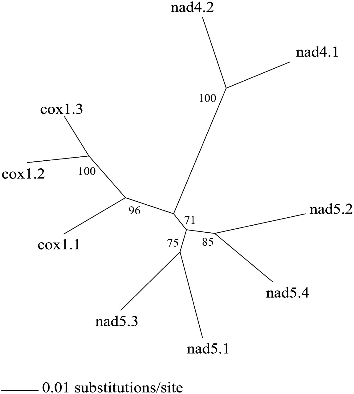 904fig4