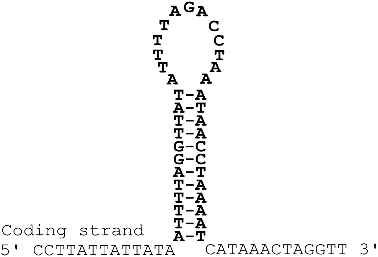 904fig5