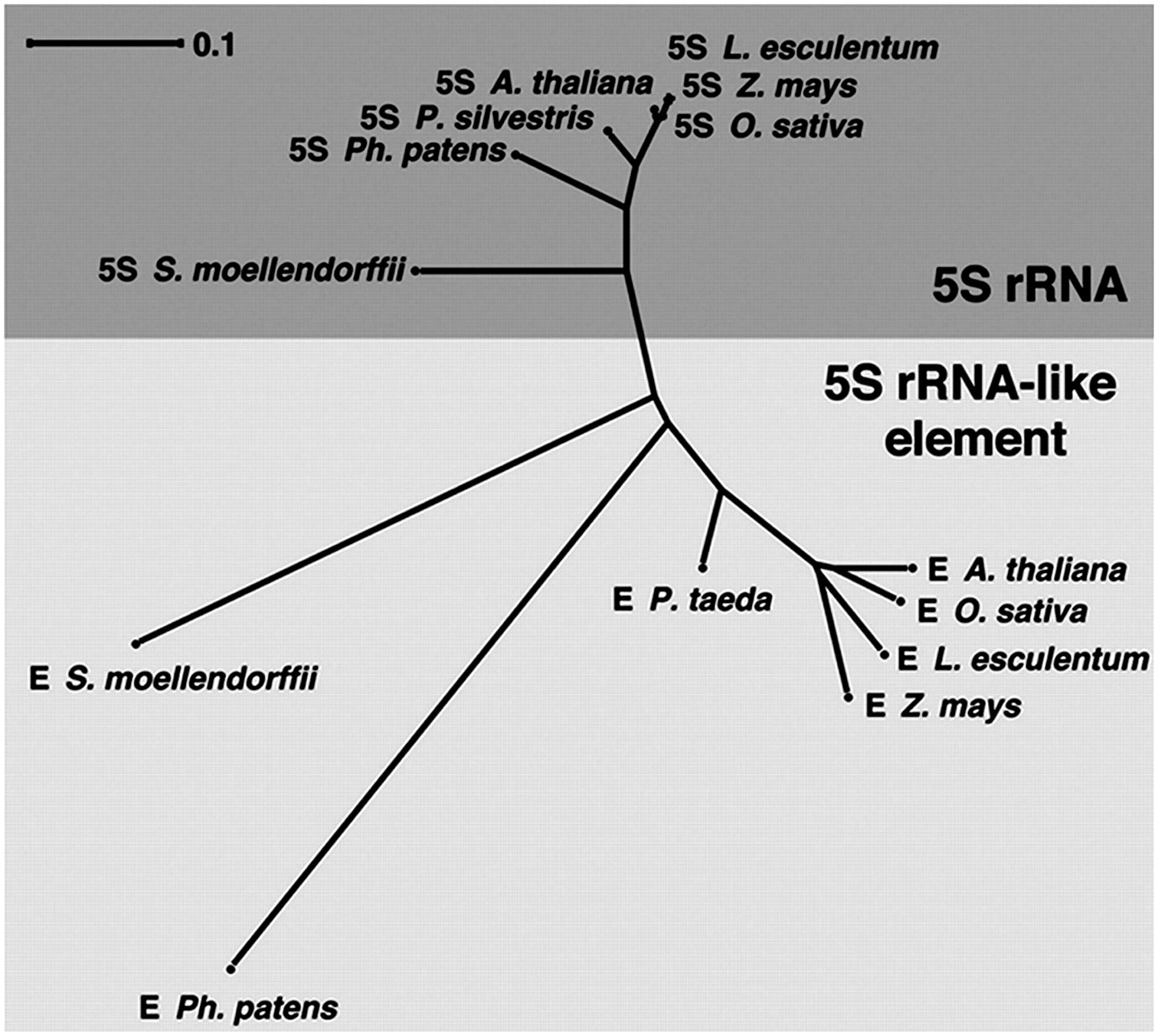 913fig3