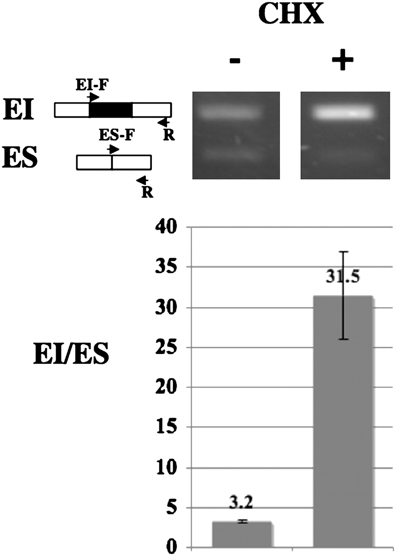 913fig4