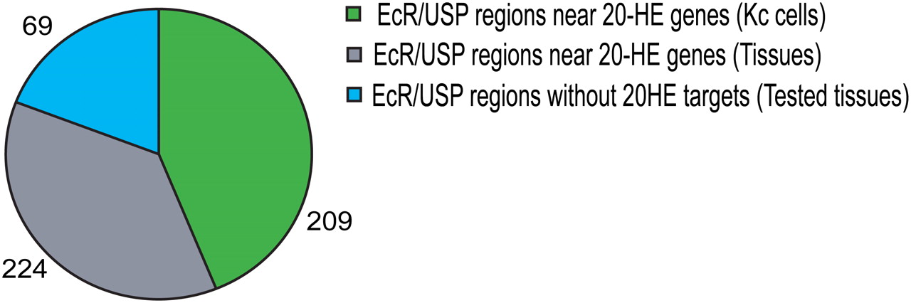 1006fig3