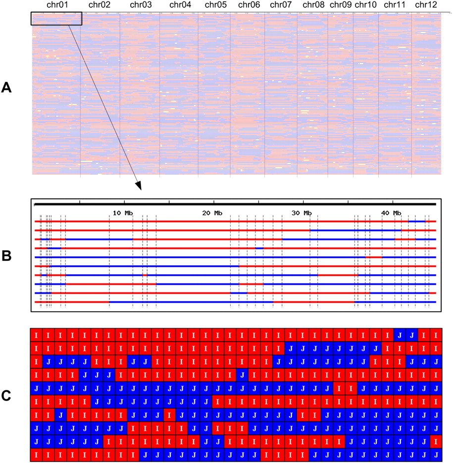 1068fig4