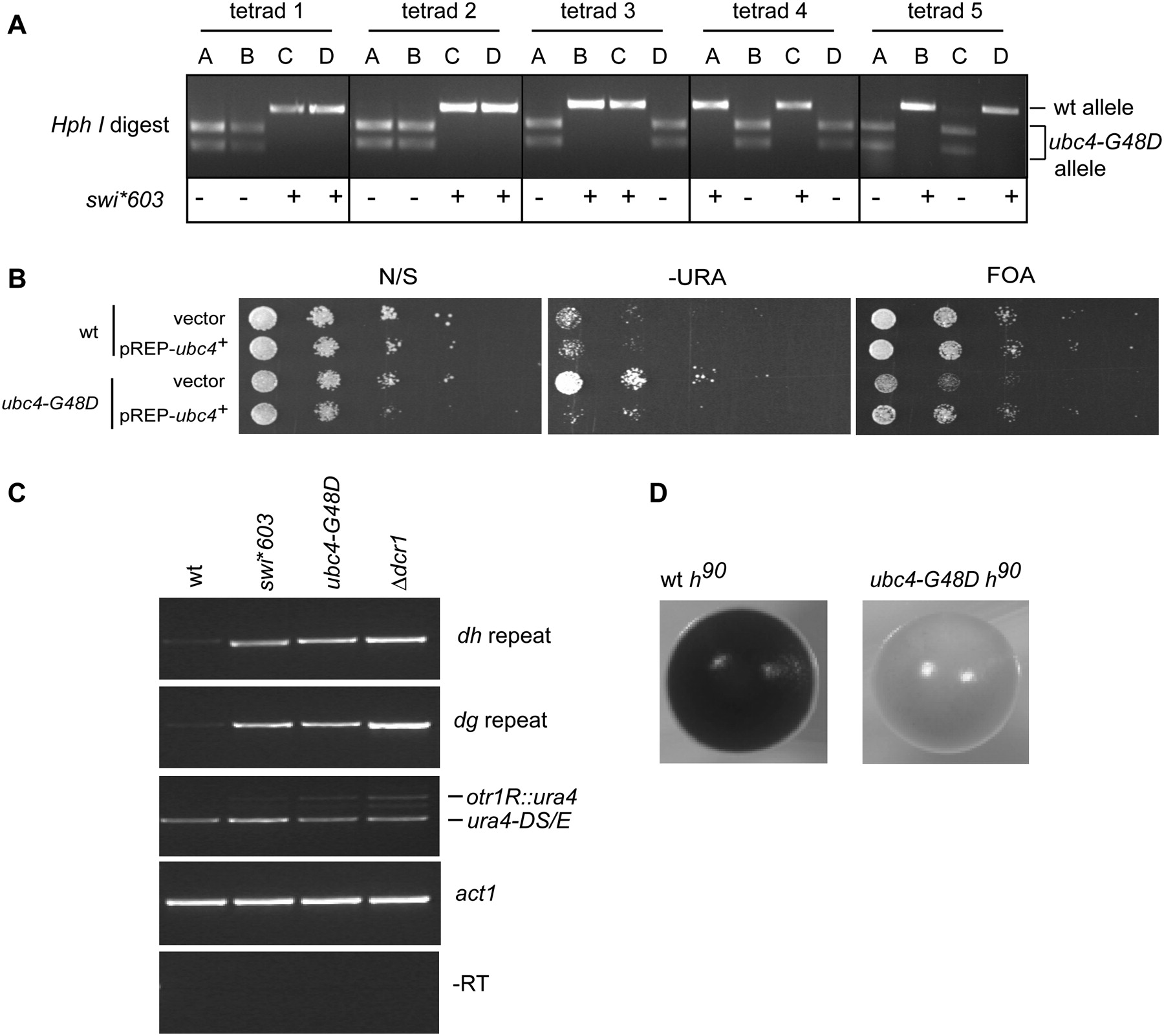 1077fig3