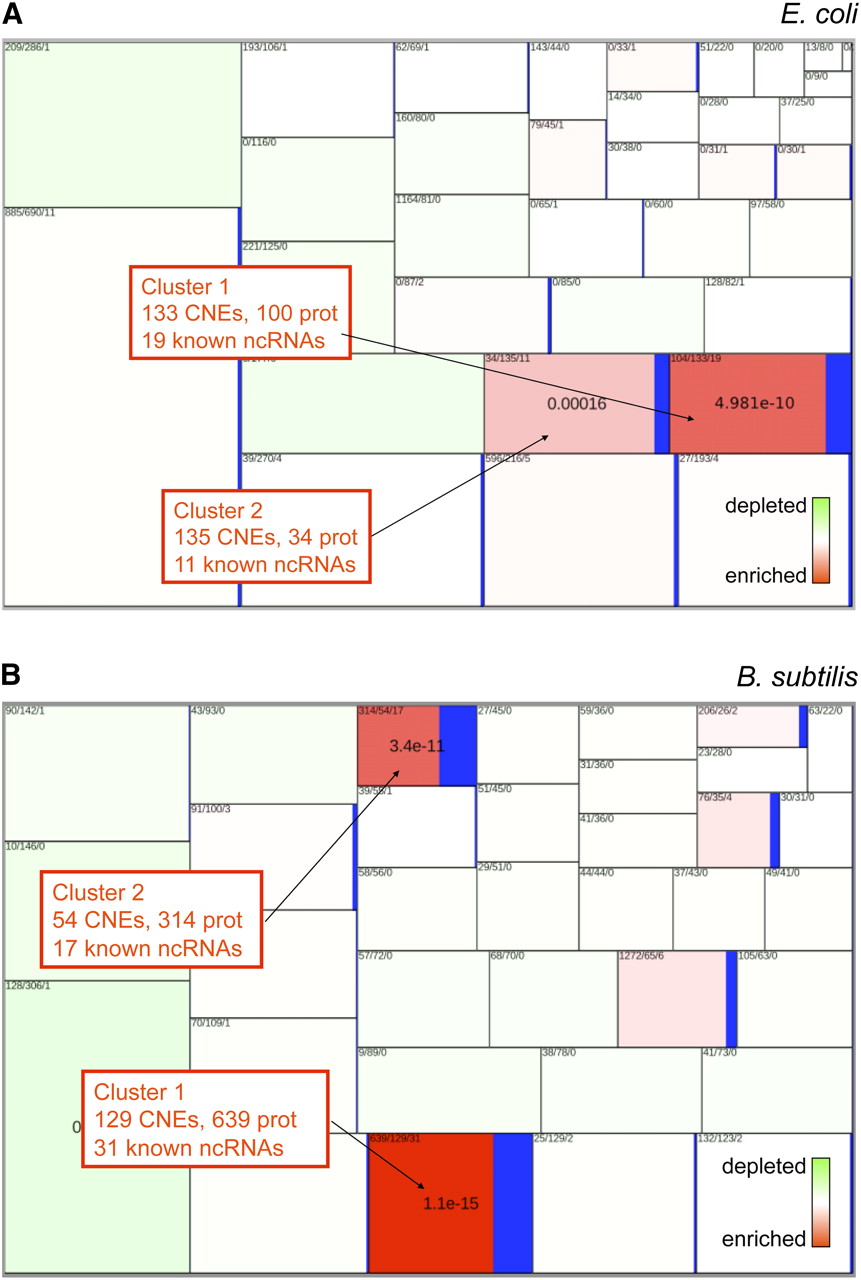 1084fig2