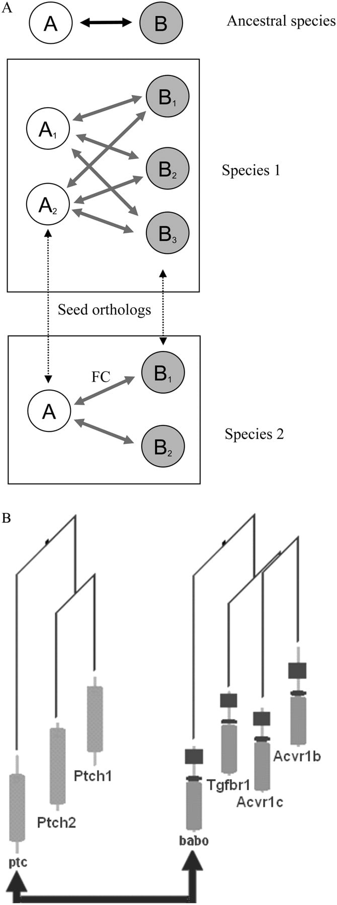 1107fig4