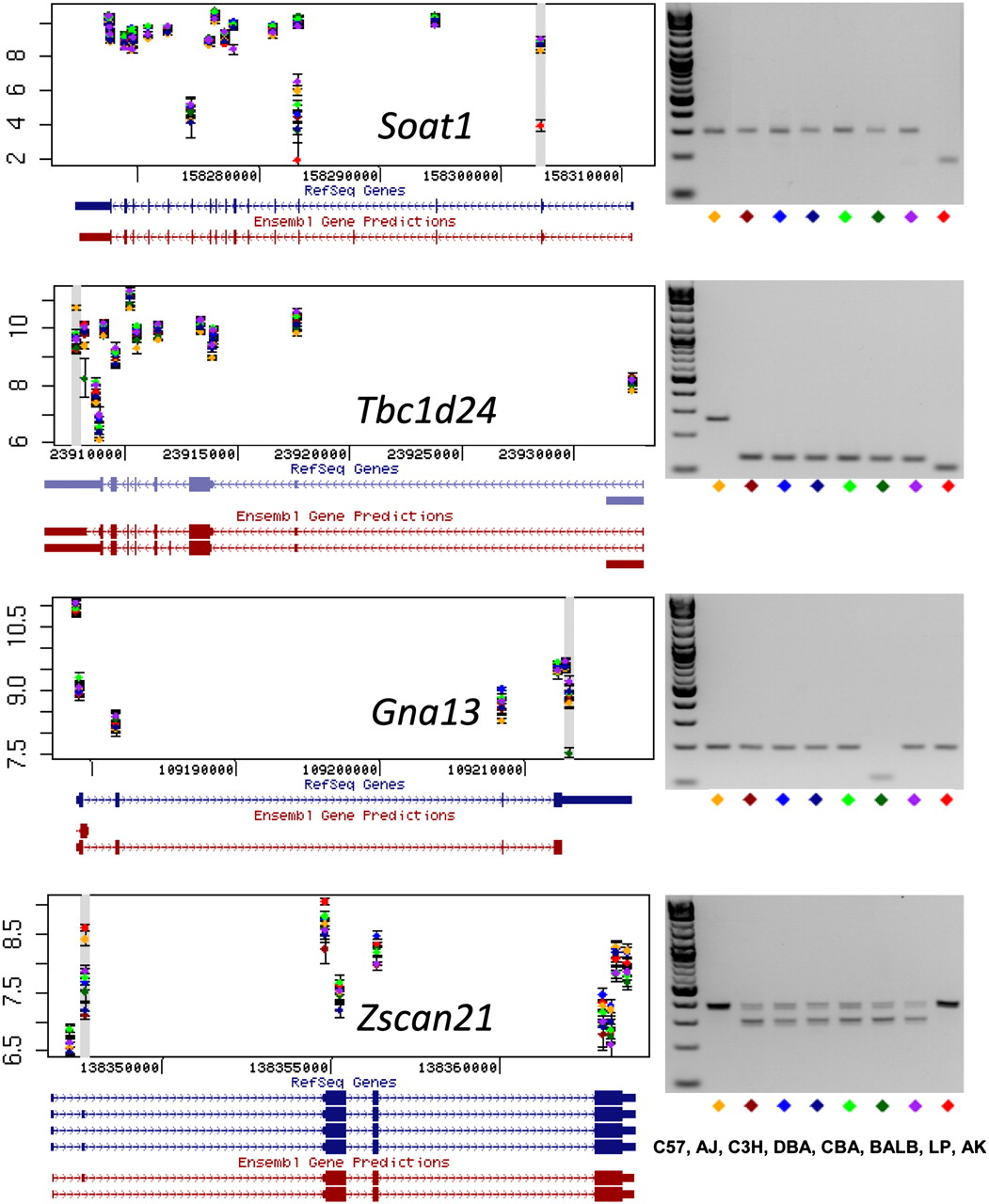 1133fig4