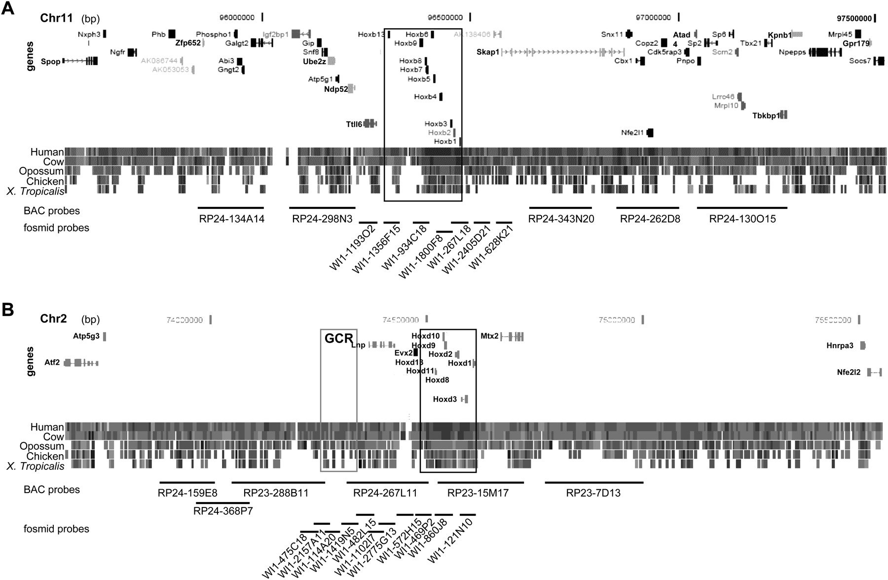 1184fig1
