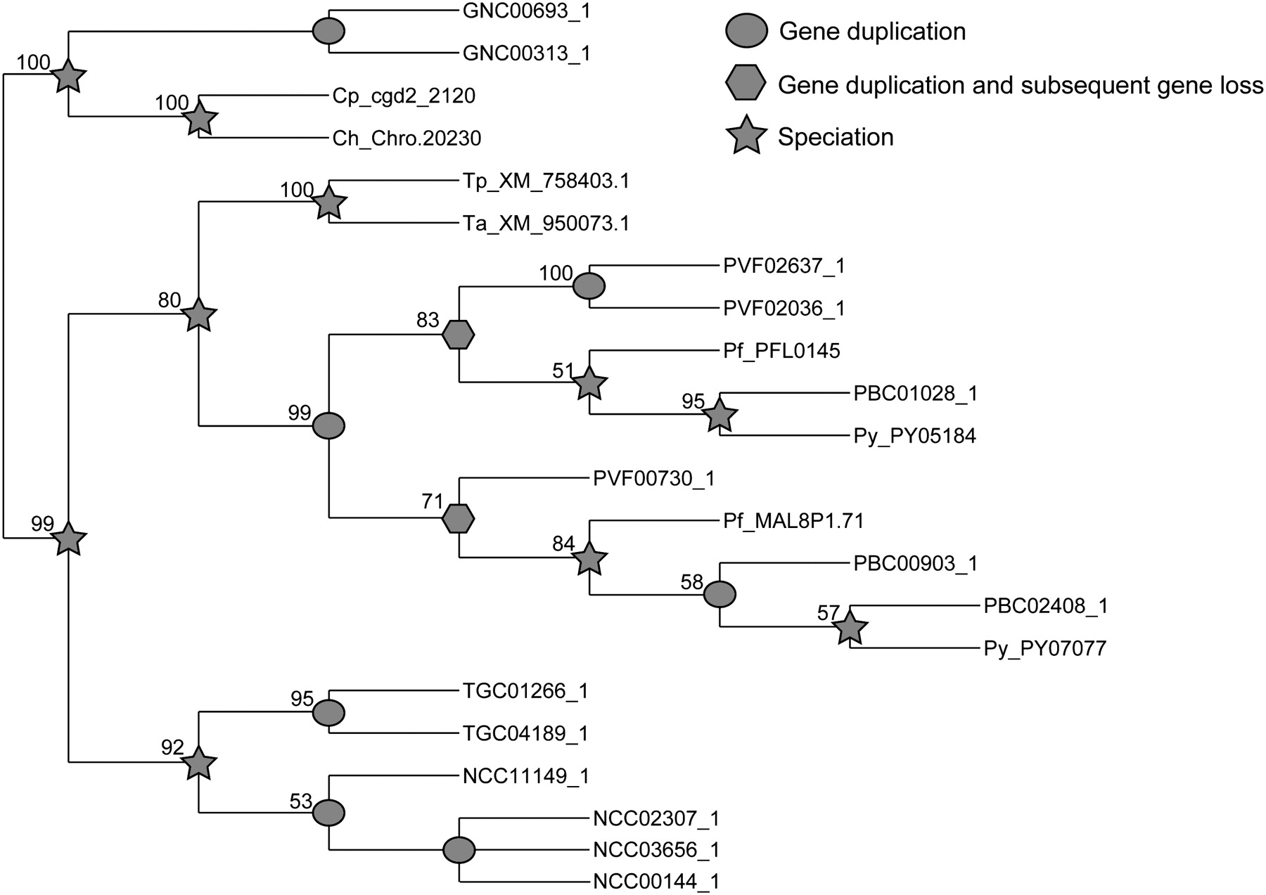 1202fig4