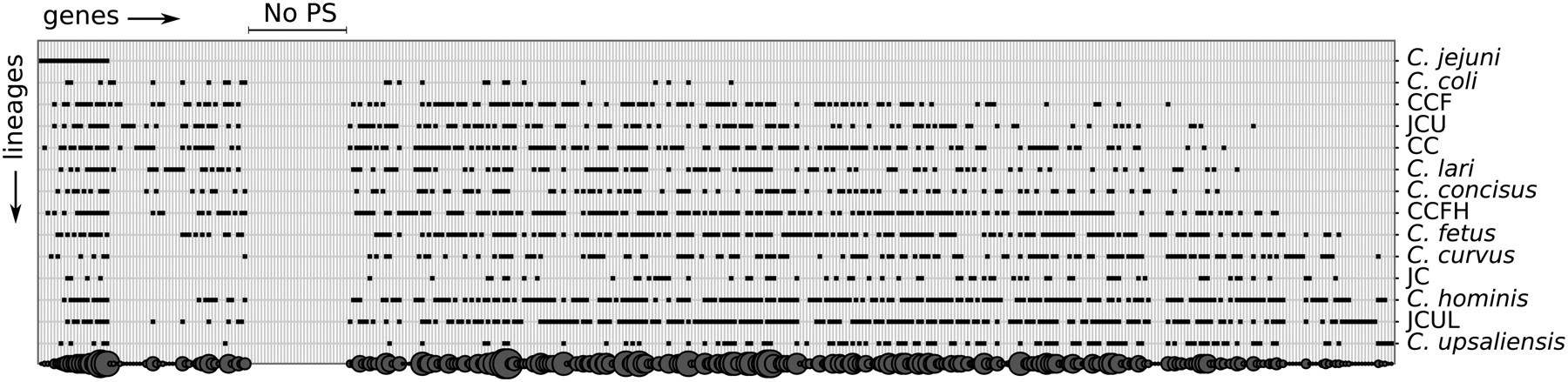 1224fig2