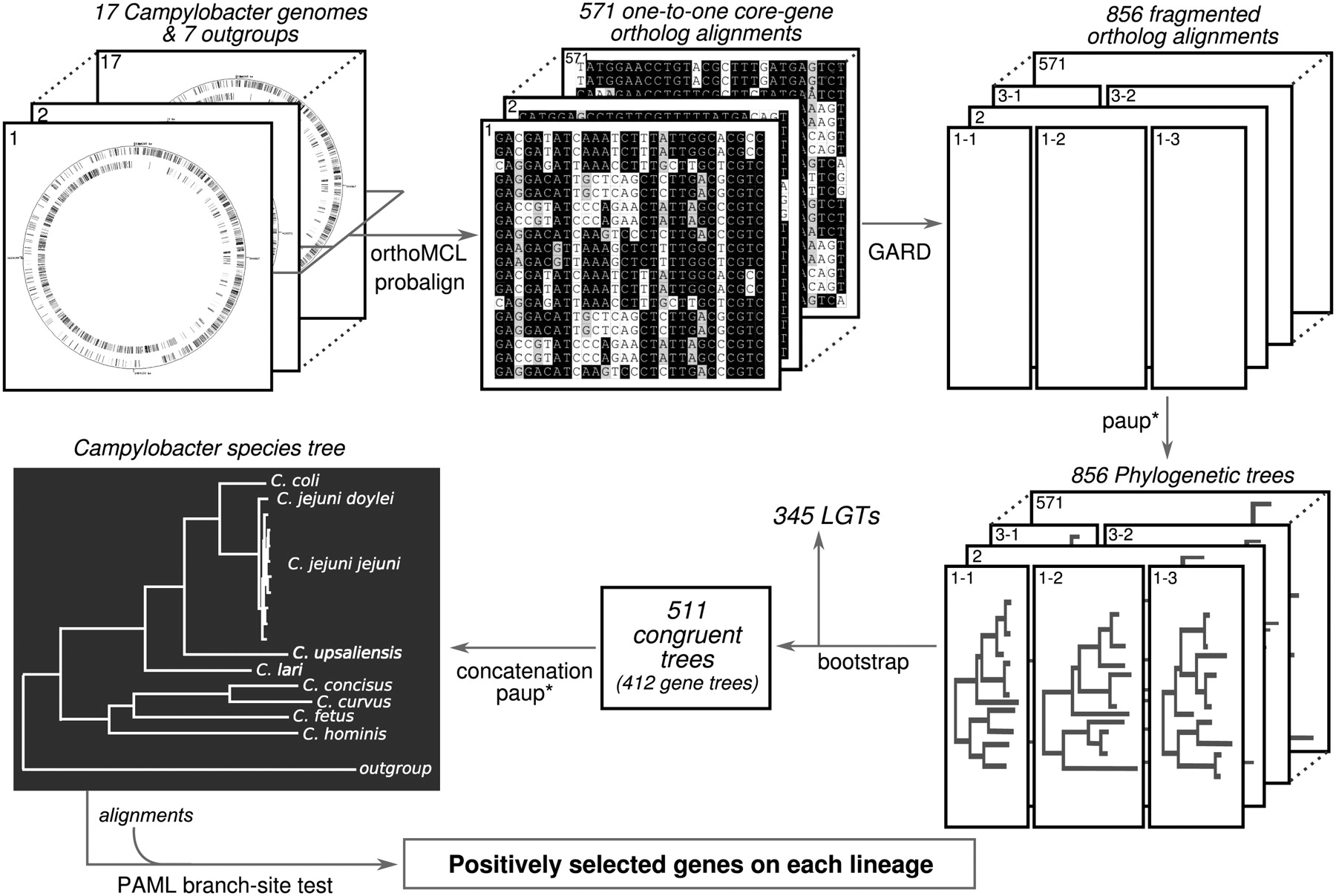 1224fig6