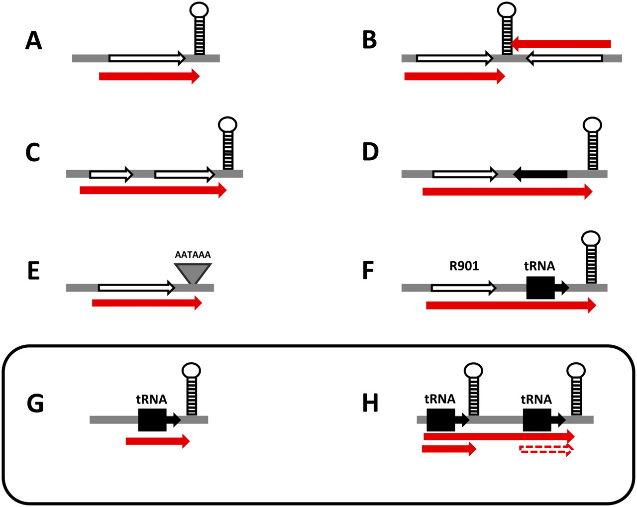 1233fig2