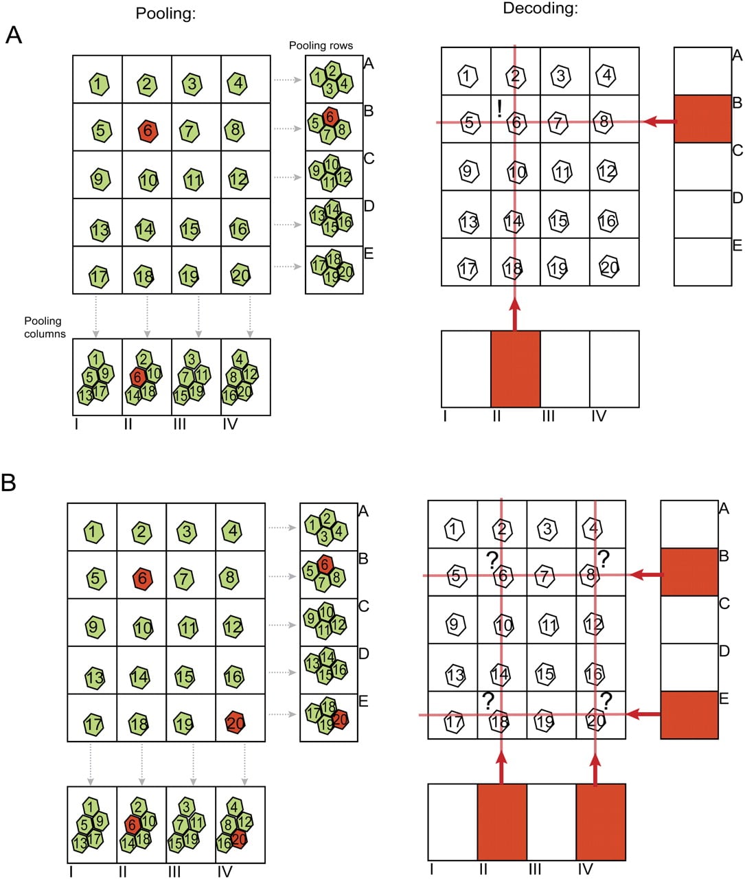1243fig1