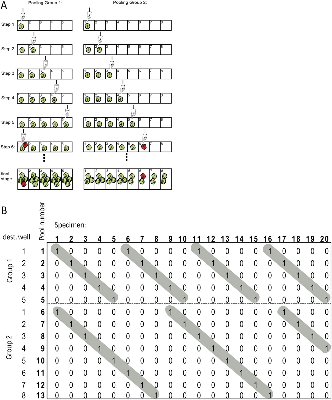 1243fig2