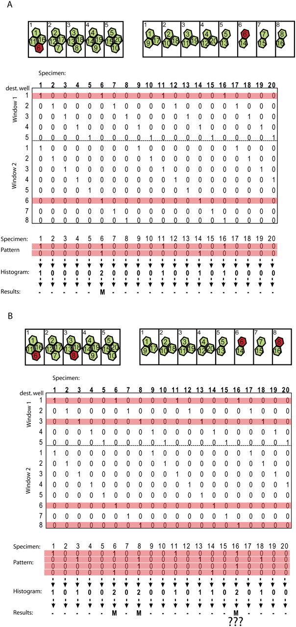 1243fig3