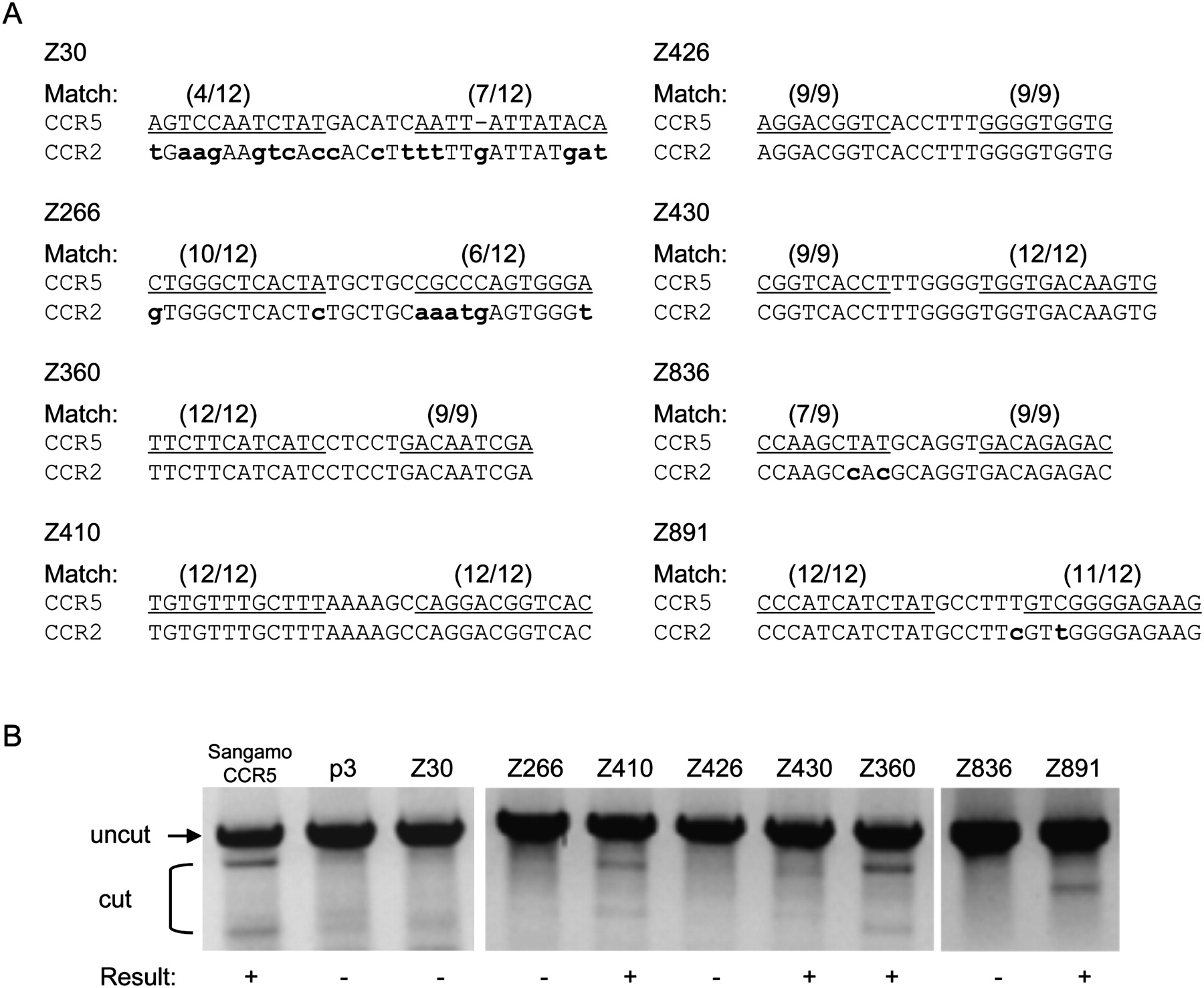 1279fig4