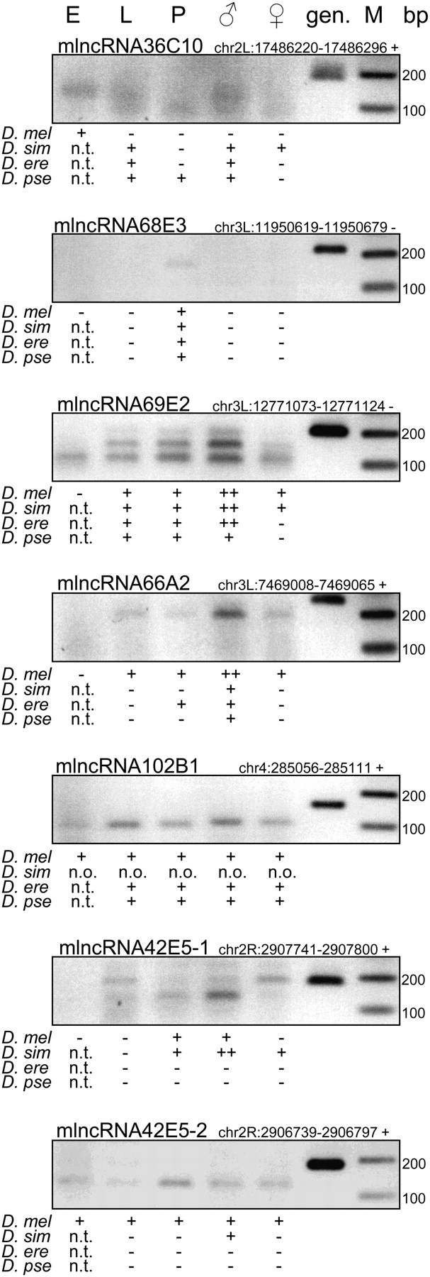 1289fig6