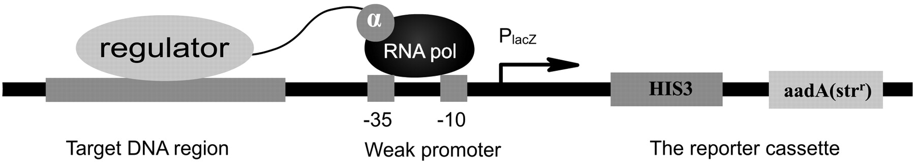 1301fig1