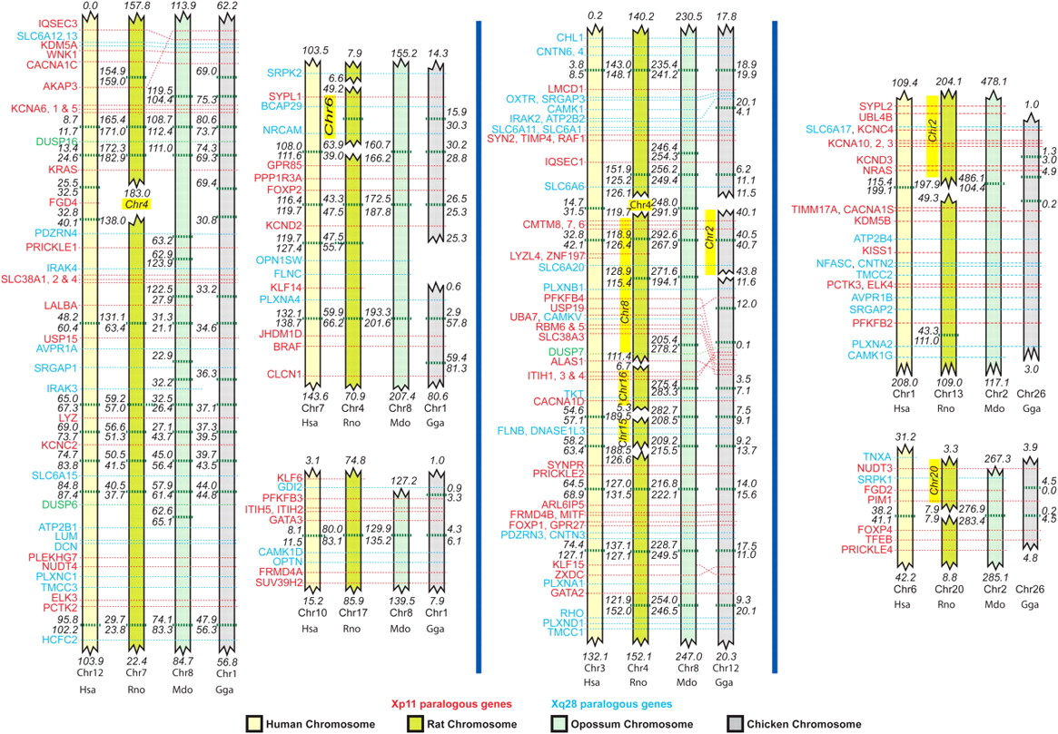 1350fig4
