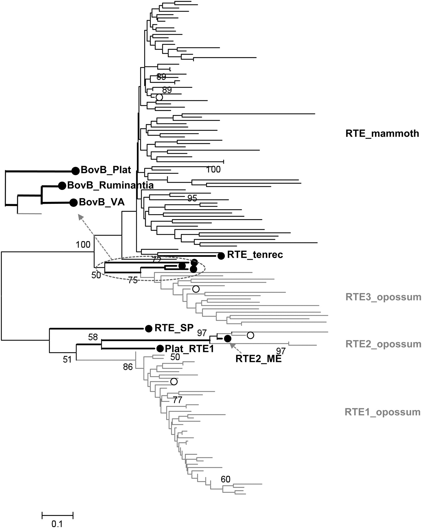 1384fig3