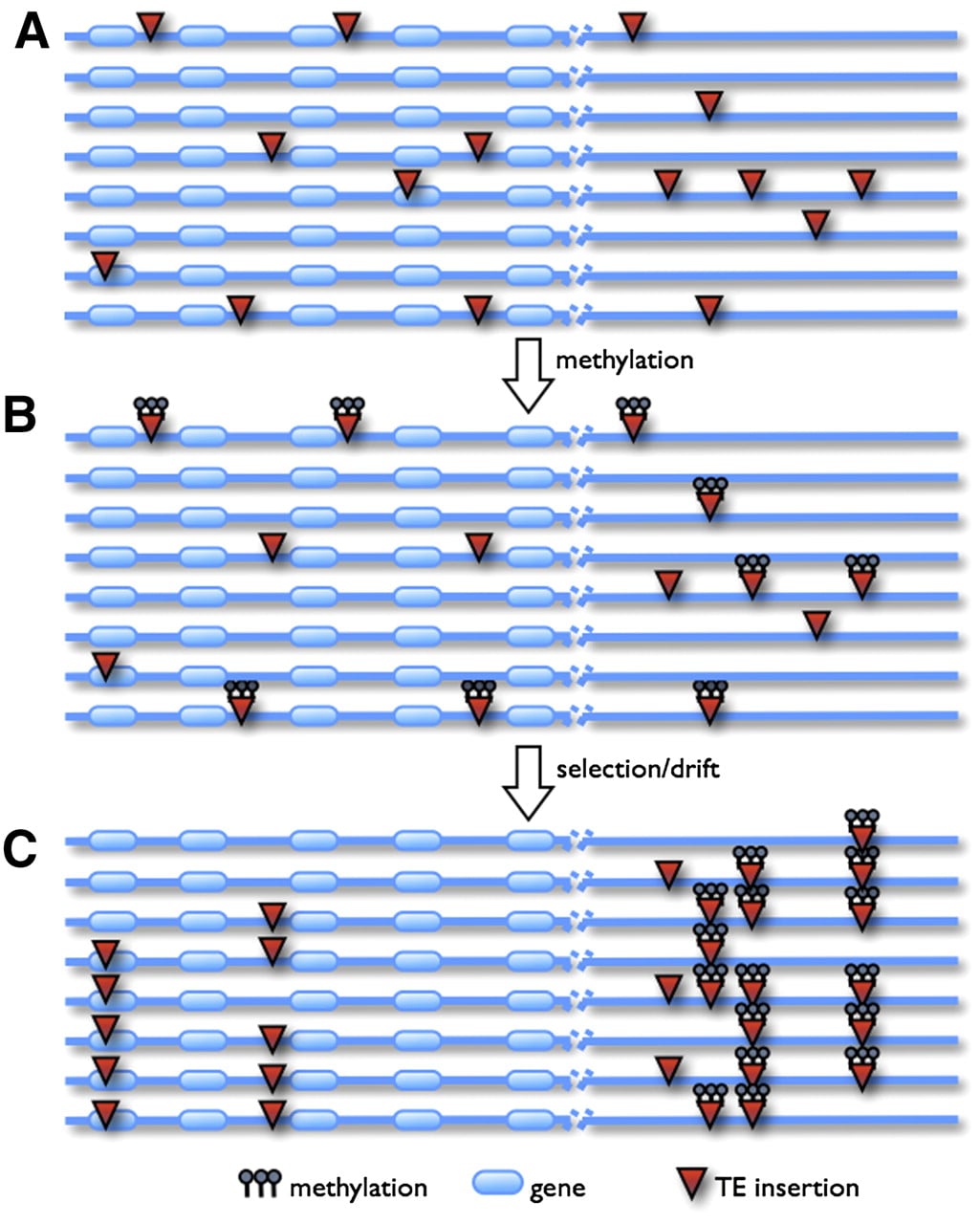1419fig3